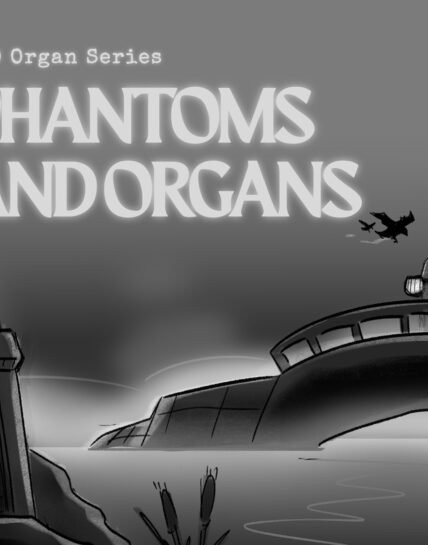 Phantoms and Organs