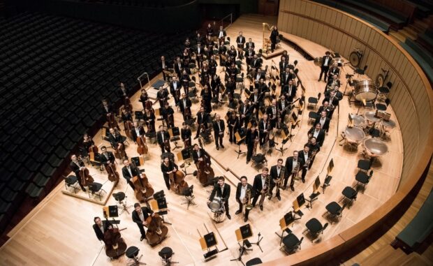 The Orchestra